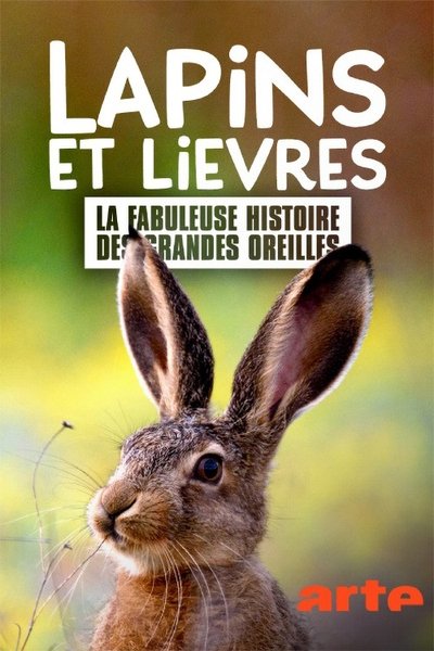 movie poster for Lapins et lièvres - La Fabuleuse histoire des grandes oreilles