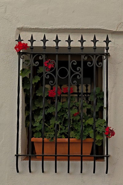 Las calles que nos quedan