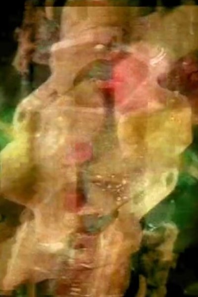 Poster do Filme Vat