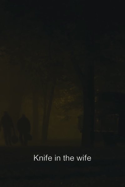 movie poster for Knife in the Wife