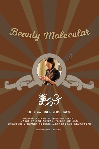 Poster do Filme 美分子