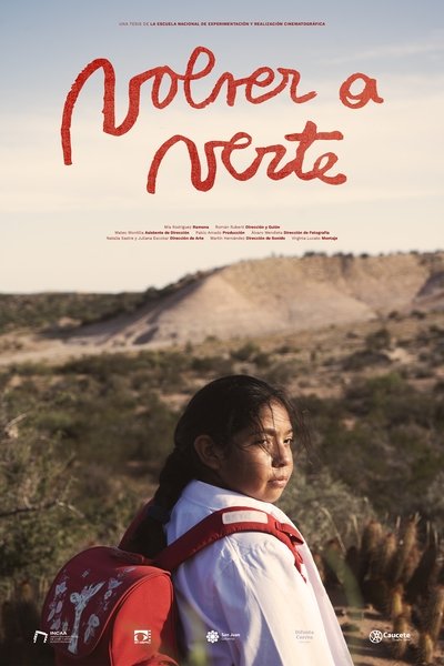 Poster do Filme Volver a verte