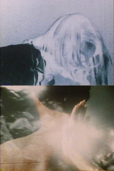 Poster do Filme Conscious
