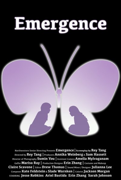 Poster do Filme Emergence