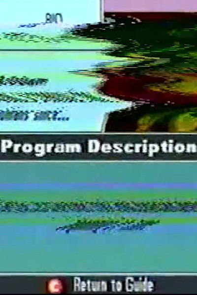 movie poster for Program Description