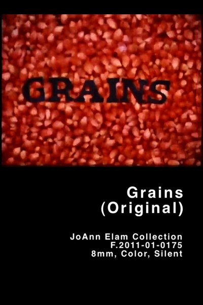 Poster do Filme Grains