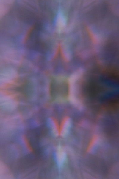 Poster do Filme Orchid