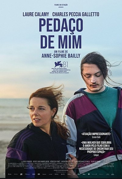 Poster do Filme Pedaço de Mim