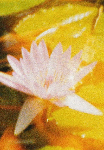 movie poster for Nuestro Fuji (Una postal)