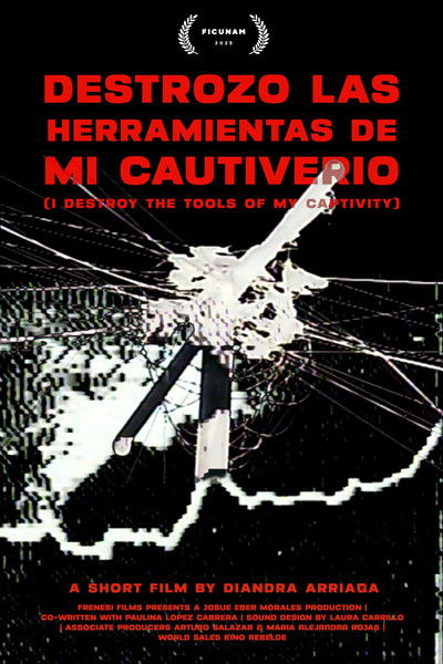 Poster do Filme Destrozo las herramientas de mi cautiverio