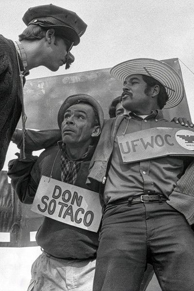 American Pachuco: The Legend of Luis Valdez