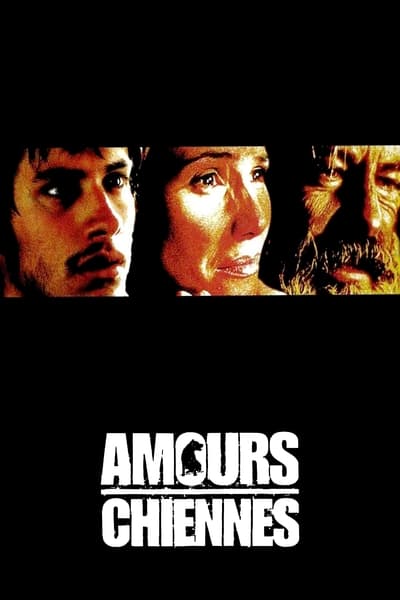 Amours chiennes (2000)