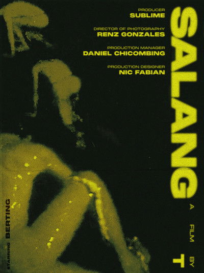 Poster do Filme Salang