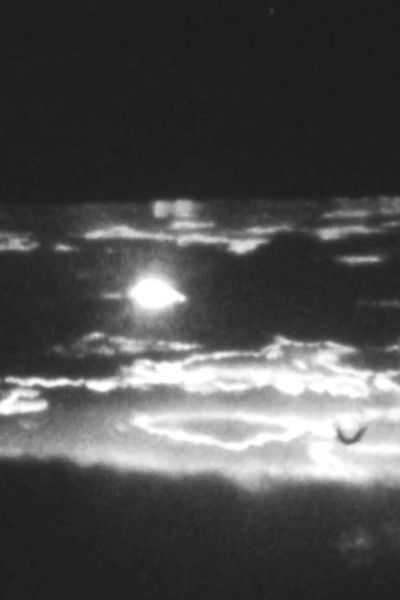 movie poster for Naceré