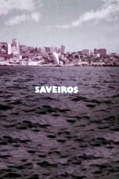 movie poster for Saveiros