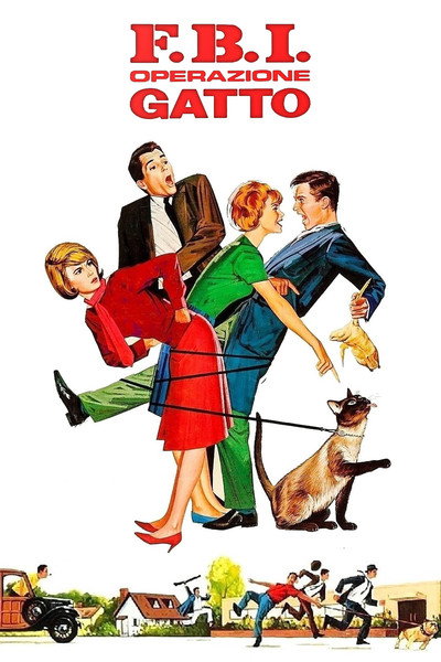 F.B.I. operazione gatto