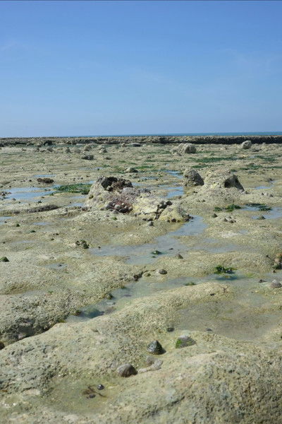 Poster do Filme Stone