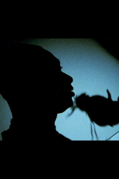 Poster do Filme Dooni