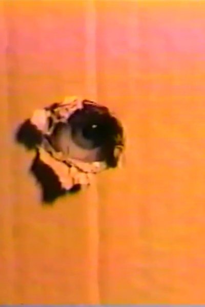 Poster do Filme Night Sweats