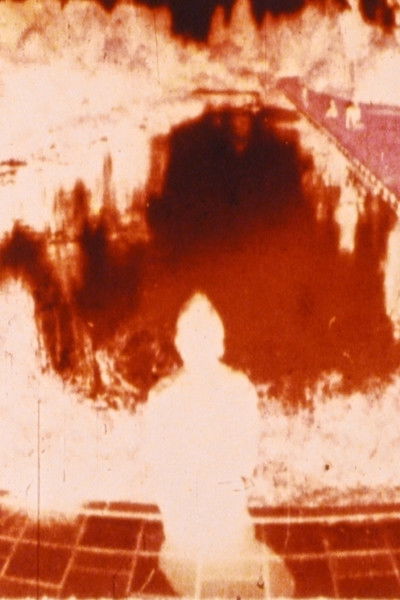 Poster do Filme Homecomings