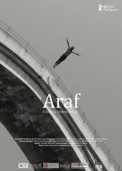 Poster do Filme Araf