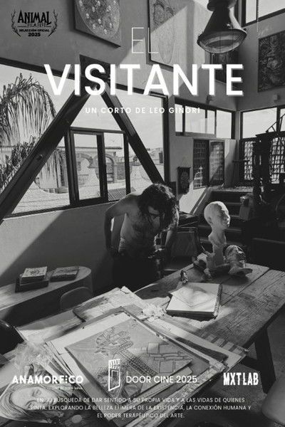 Poster do Filme El visitante