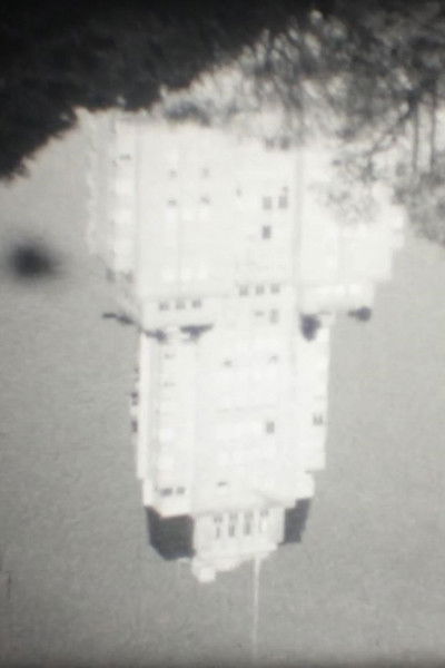 movie poster for Corina