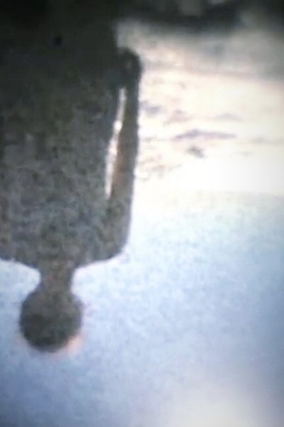 Poster do Filme 鏡の中