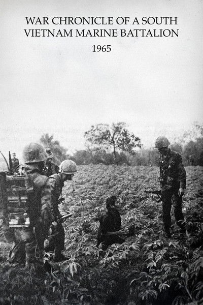 War Chronicle of a South Vietnam Marine Battalion
