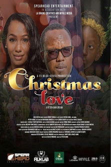 Poster do Filme Christmas Love