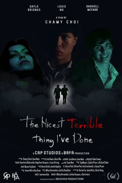 Poster do Filme The Nicest Terrible Thing I've Done