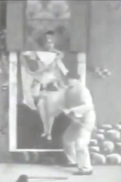 Poster do Filme The Animated Poster