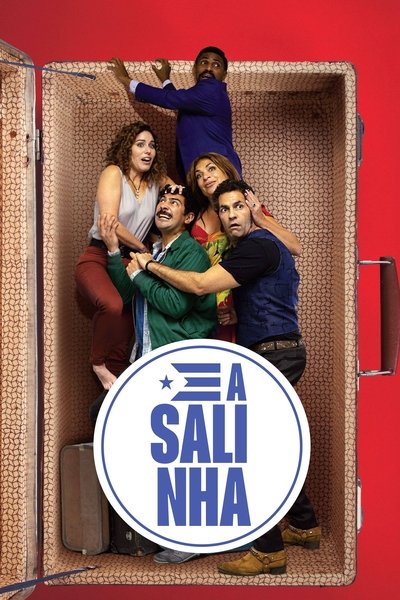 Poster do Filme A Salinha