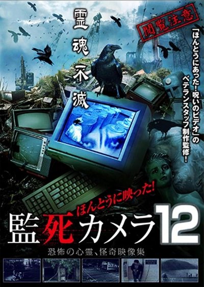 movie poster for Paranormal Surveillance Camera 12
