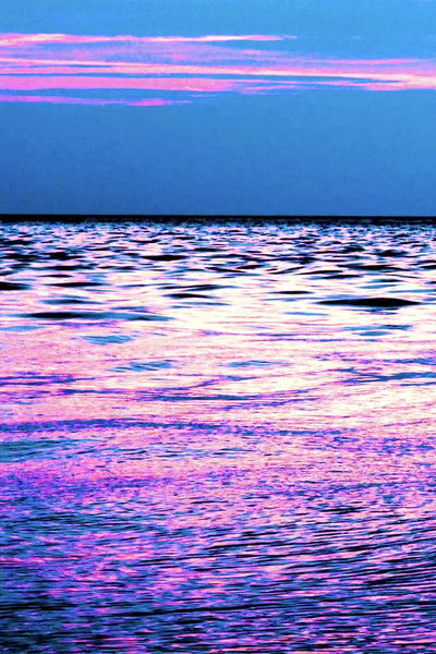 movie poster for La Boussole