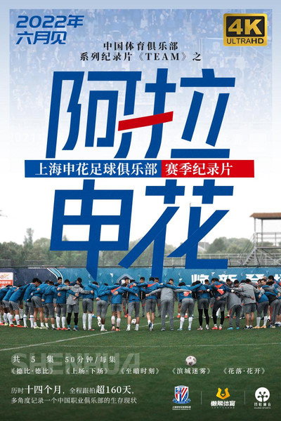 阿拉申花