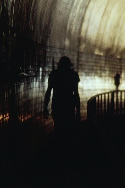 Poster do Filme Fell on My Face