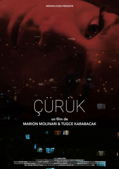 Poster do Filme Çürük