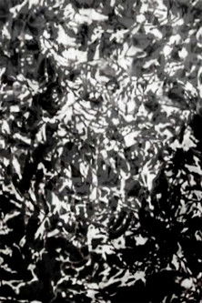 Poster do Filme Mesh - P.I.V. 7