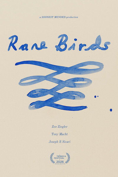 Rare Birds