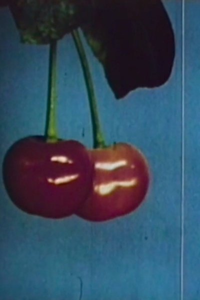 movie poster for Sun Plant Hands