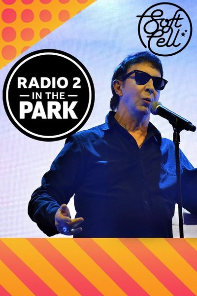 Poster do Filme Soft Cell: Radio 2 in the Park