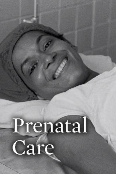 Poster do Filme Atención prenatal