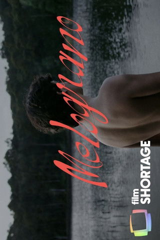 Poster do Filme Melograno
