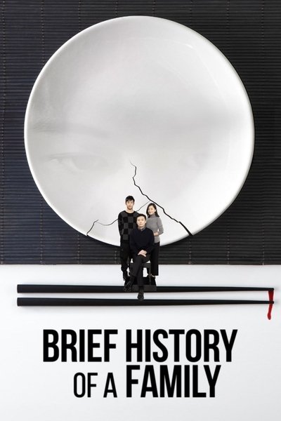 Poster for the movie Brief History of a Family
