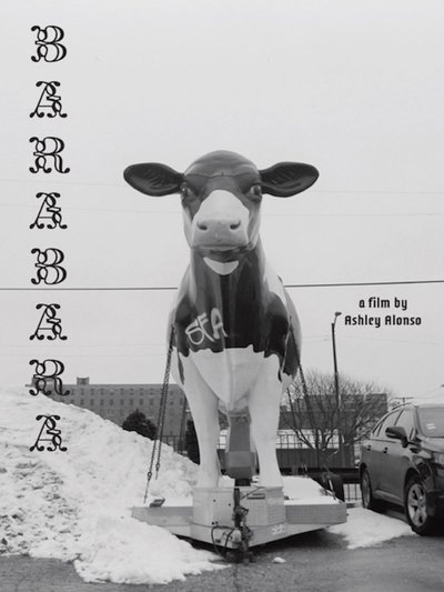 movie poster for BARABARA