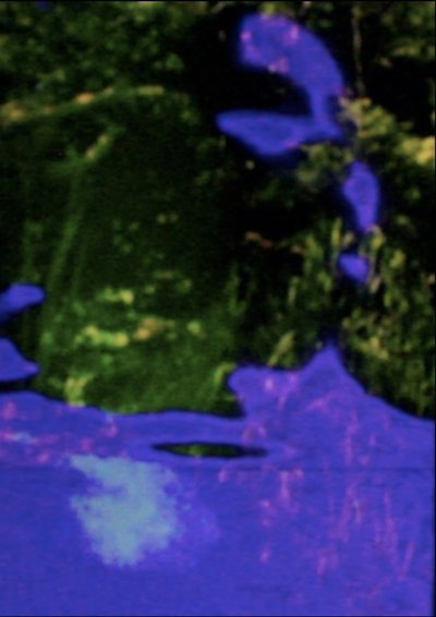 Poster do Filme The Spine Folds Far Away