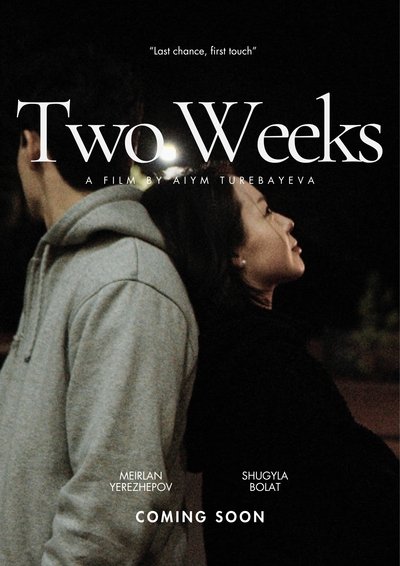 movie poster for Two Weeks