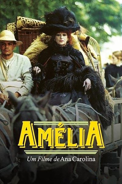 Poster for the movie Amélia