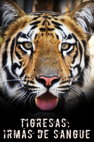 Tigress Blood